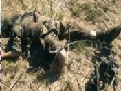 Samsunlu polisi şehit eden terörist ölü ele geçirildi