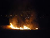 Tarlada Çıkan Yangın Korkuttu