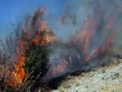 Turgutlu`da Makilik Alanda Yangın