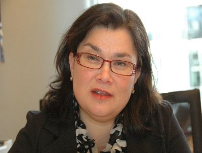 Ap Raportörü Emine Bozkurt, Türkiye Yolcusu