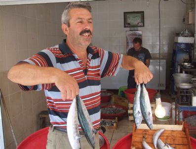 Balık Av Sezonu Ramazan Bayramı Tatili Nedeniyle Sönük Başladı