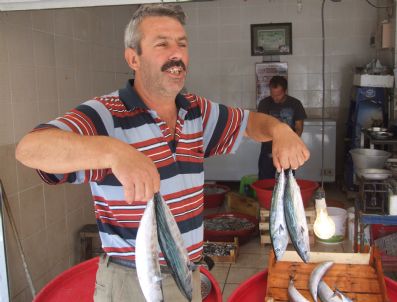 Balık Av Sezonu Ramazan Bayramı Tatili Nedeniyle Sönük Başladı