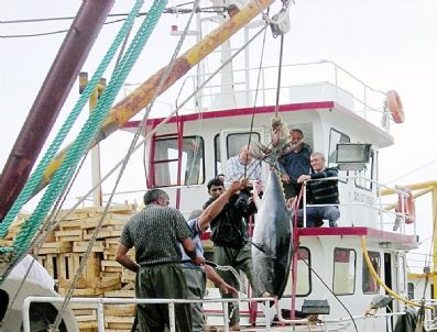 Balıkçılar 'vira Bismillah' Dedi