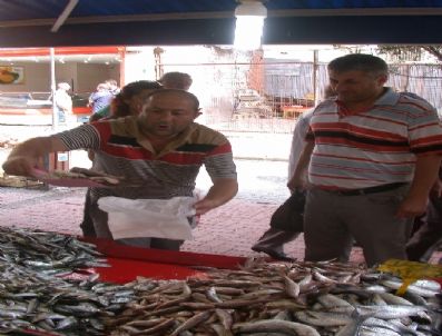 Balıkçının Da Vatandaşında Yüzü İlk Gün Güldü
