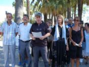 Demokratik Düşünce Platformu Barış İçin İmza Topladı