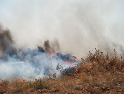 Didim’de Çöplük Yangını Korkuttu.