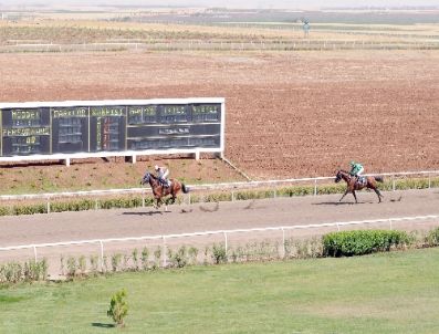 TÜRKIYE JOKEY KULÜBÜ - Diyarbakır’da At Yarışları Başladı