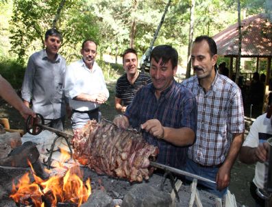 Eski Arkadaşlar 21 Yıl Sonra Piknikte Buluştular