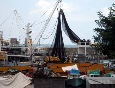 Et Alamayan Vatandaşın Yüzünü Balık Güldürecek