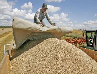 Rusya, 200 Bin Hektar Toprağını Kuzey Kore’ye Kiralıyor