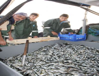 ‘vira Bismillah’ Diyen Balıkçılar İlk Gün Umduğunu Bulamadı