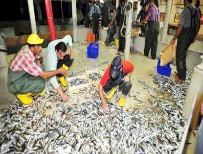 Yasak bitti, tezgahlar balıkla doldu