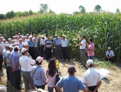 400 Çiftçi Tarla Gününde Buluştu