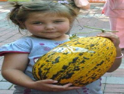 MEHMET ÜNLÜ - Kırkağaç`ta En Güzel Kavun Yarışması