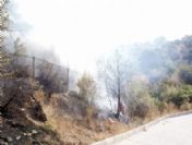 Türkiye'nin İlk Milli Parkı, Yangını Ucuz Atlattı