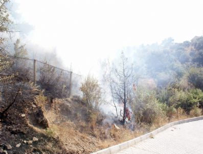 Türkiye'nin İlk Milli Parkı, Yangını Ucuz Atlattı