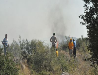 Makilik Alanda Yangın