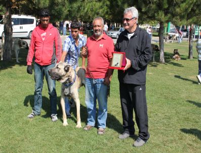 Ahlatlıbel Köpek Yarışması Hayvanseverlerden Yoğun İlgi Gördü