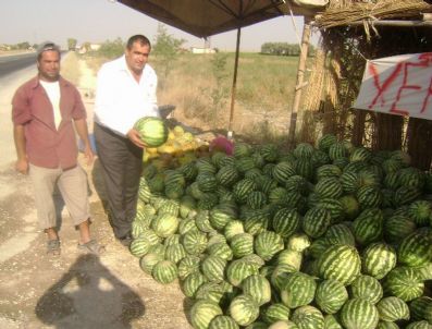 Aksaray`da Kavun Karpuz Yetiştiriciliği Hızla Artıyor