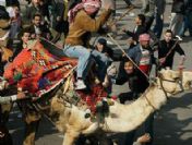 Altı, develi saldırının hasebı soruluyor