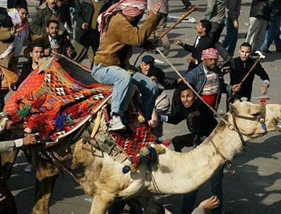 TAHRIR - Altı, develi saldırının hasebı soruluyor