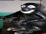 Çalınan Maymun Heykeli Bulundu