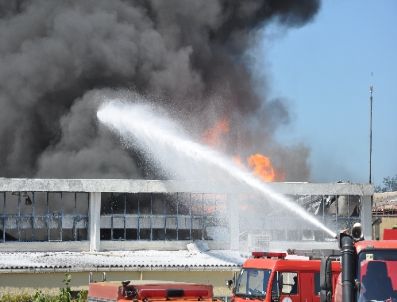 Gebze`deki Yangın Kontrol Altına Alındı