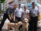 Hayvanlar İçin Yaşam Arabası Marmaris'te