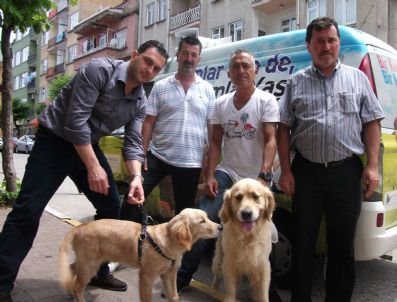 HAYVAN HAKLARı FEDERASYONU - Hayvanlar İçin Yaşam Arabası Marmaris'te