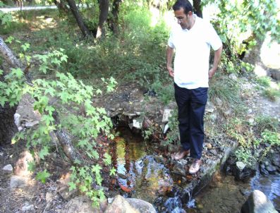 Marmarisli Çevreciler Denize Dökülen Dereleri İnceledi
