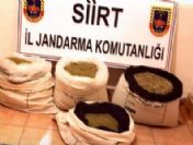 Siirt'te 58 Kilo 600 Gram Esrar Ele Geçirildi