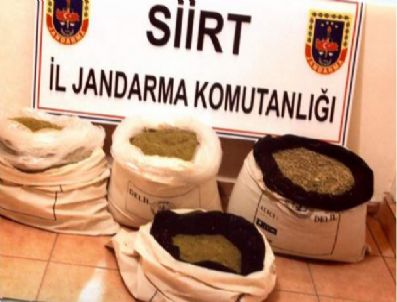 Siirt'te 58 Kilo 600 Gram Esrar Ele Geçirildi