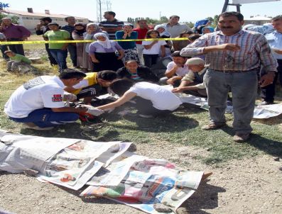 Van'da trafik kazası: 3 ölü, 1 yaralı