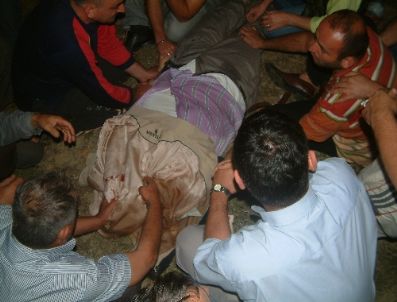 Başıboş Gezen İnekler Kazaya Neden Oldu: 1ölü, 5 Yaralı