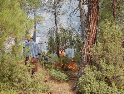 Büyükorhan`daki Orman Yangını Kontrol Altına Alındı