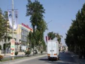 Çubuk`ta '7. Uluslararası Çubuk Turşu ve Kültür Festivali'