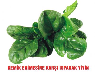 EMİNE ÜN - Kemik erimesine karşı ıspanak yiyin