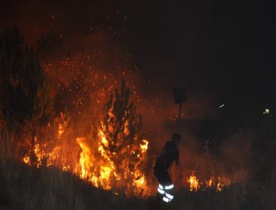NOHUTLU - Yozgat`ta Fidanlık Alanda Çıkan Yangın Güçlükle Söndürüldü