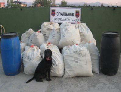 Jandarmadan Esrar Operasyonu