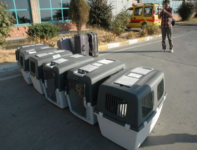 FERİT MELEN - Mayın Arama Köpekleri Hakkari'de