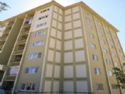 Uşak'ta Polis Cinneti