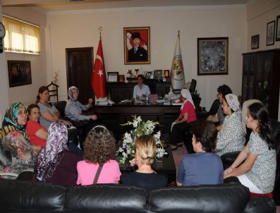 Bayanların Dayanışması
