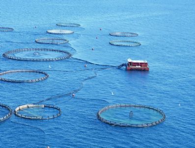 Su Ürünleri Üreticisine Kira Müjdesi