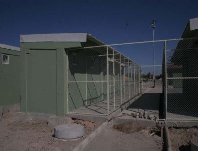 Afyonkarahisar’da 3 Yılda Bin 500 Köpek Kısırlaştırıldı