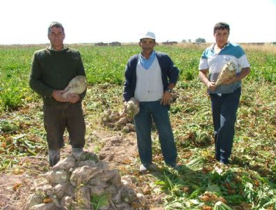 BALKÜPÜ - Aksaray`da Pancar Hasadı Hazırlıkları Tamamlandı