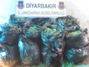 Diyarbakır`da 102 Kilo Esrar Ele Geçirildi