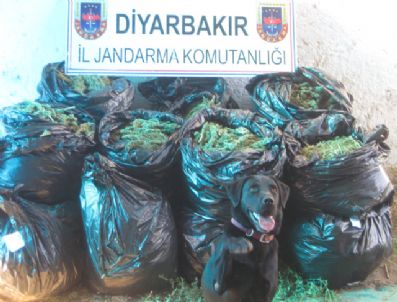 Diyarbakır`da 102 Kilo Esrar Ele Geçirildi