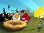 Angry Birds sınır tanımıyor