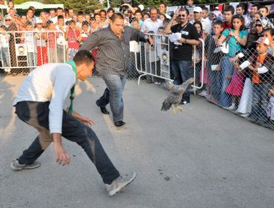 Tavuk Yakalama Yarışması Renkli Görüntülere Sahne Oldu