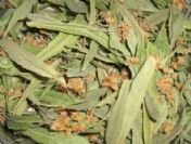 Vücudunuz kışa hazır mı?